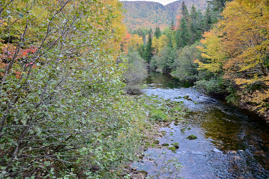 Looking upstream at Ingram Brook on the East Big Intervale Road south of Rivulet