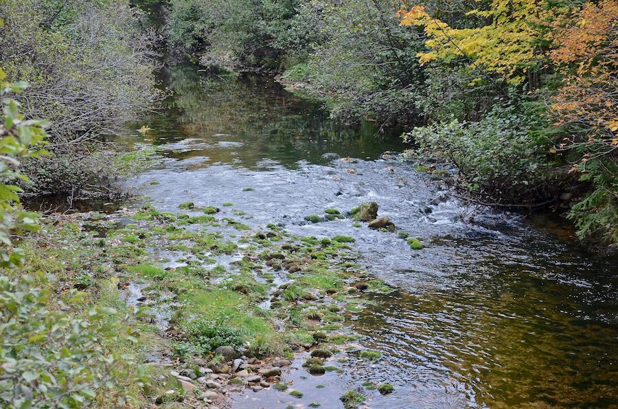 Looking upstream at Ingram Brook on the East Big Intervale Road south of Rivulet