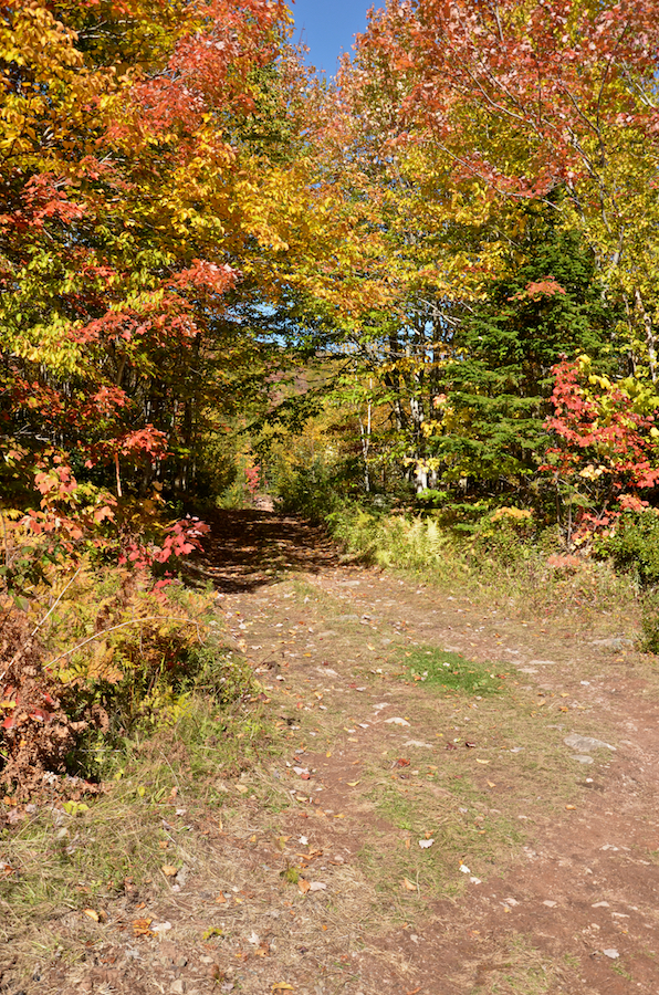 The start of the Lewis Mountain Trail at Exit 6