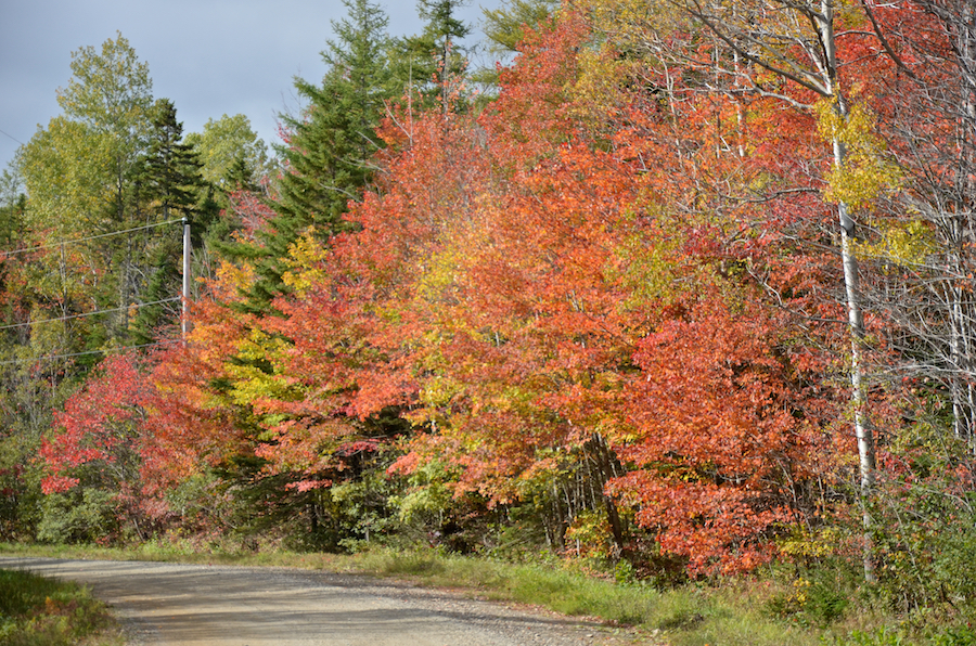 Colours along the Glencoe Road