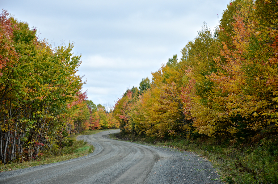 Colours along the Upper Southwest Mabou Road