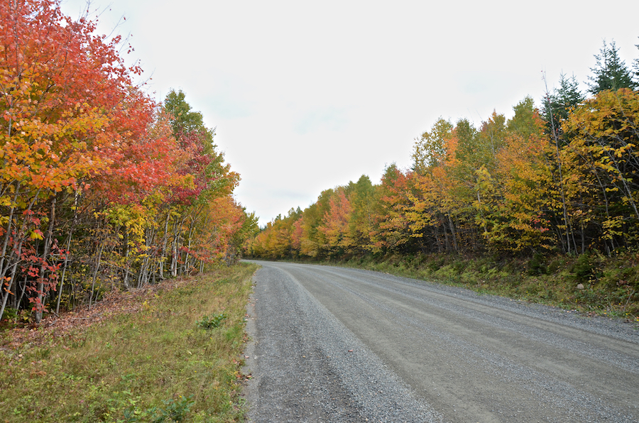 Colours along the Upper Southwest Mabou Road