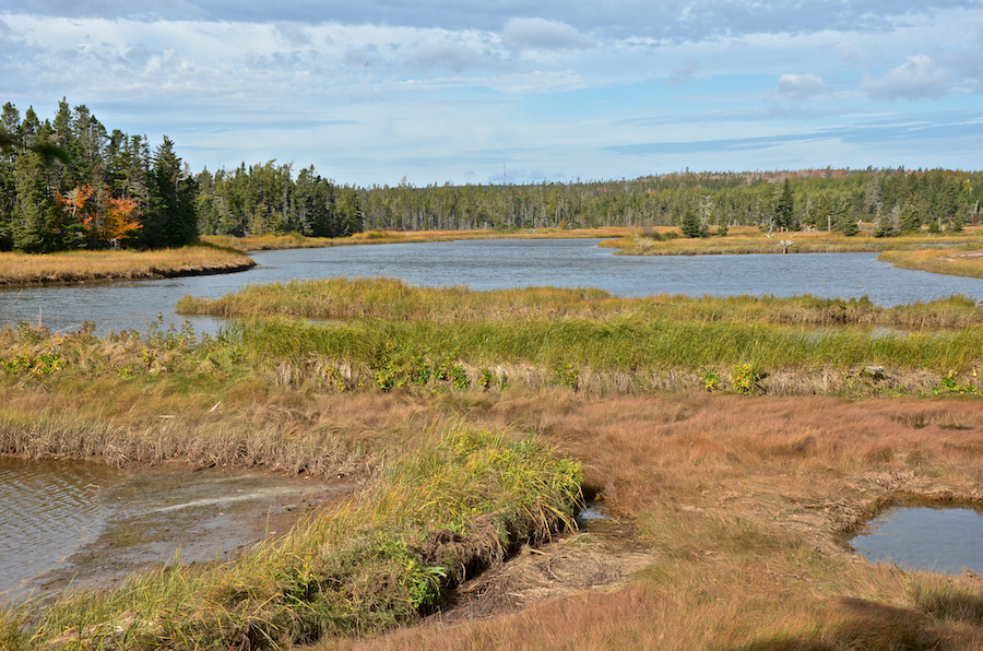 The River Tillard