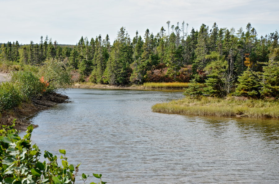 The River Tillard