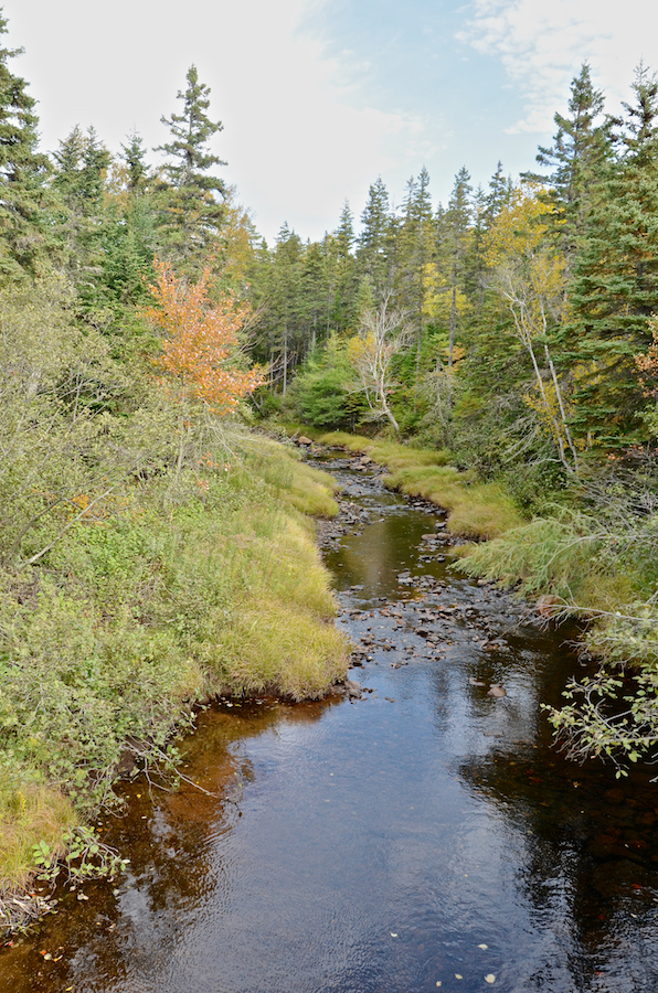 Looking upstream at East River Tillard