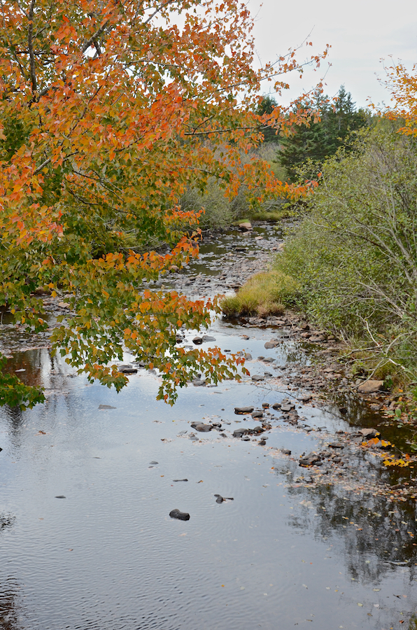 Looking downstream at East River Tillard