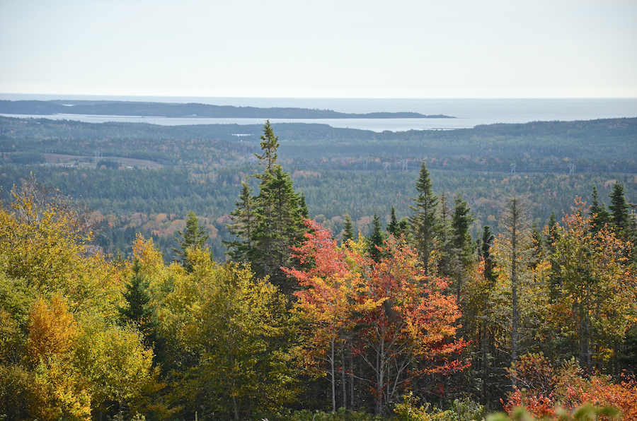 Vista from Morrison Road