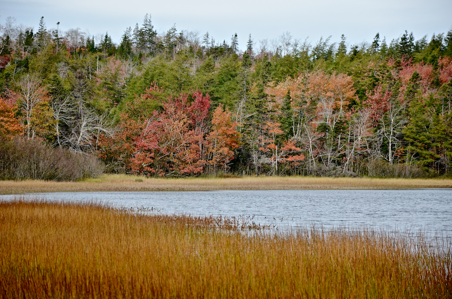 Colours in the northwest corner of Cook Lake