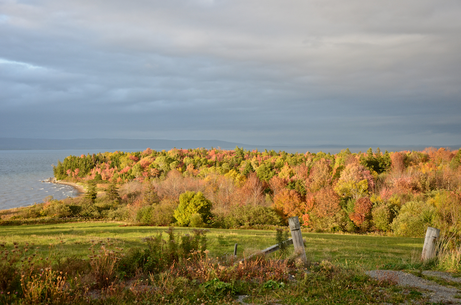 McInnes Point