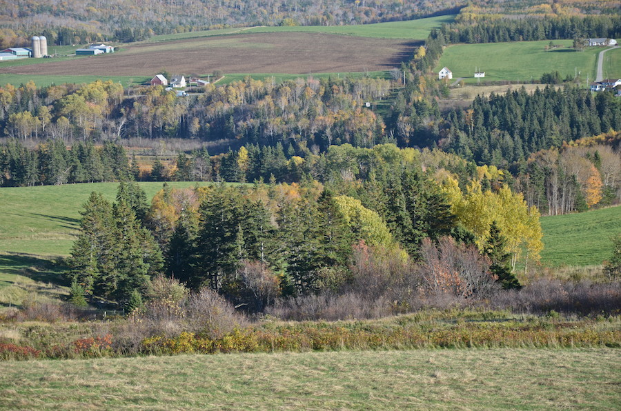 The valley of the Southwest Mabou River