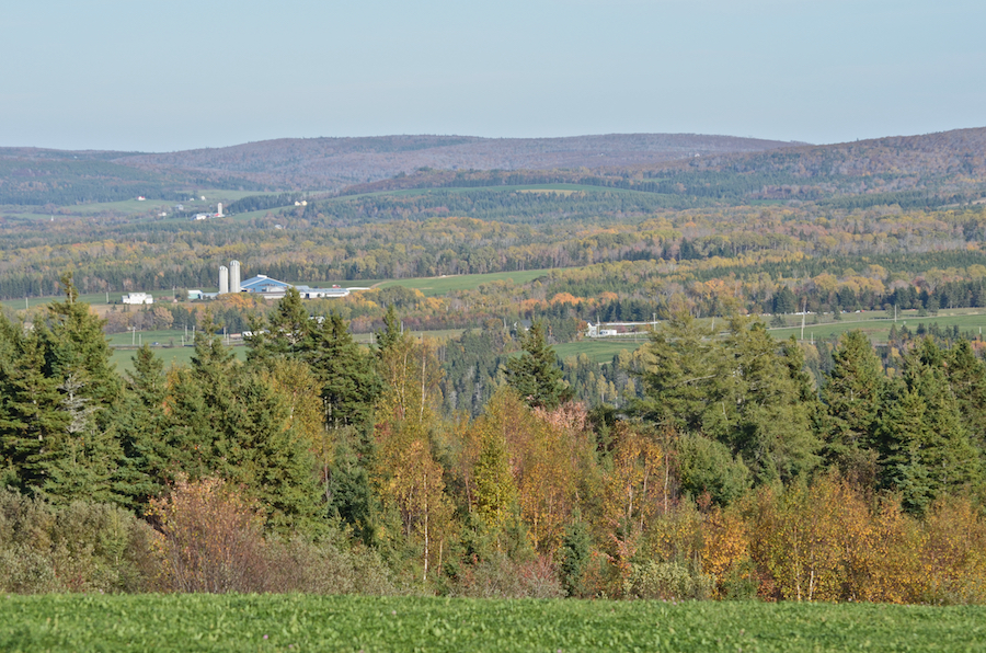 Hillsborough, Rankinville, and the foothills of the Mabou Ridge