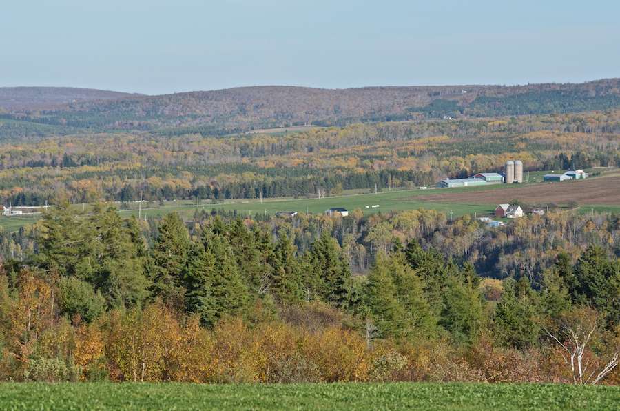 Mabou Ridge from Hunters Road