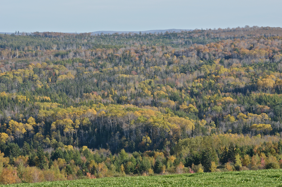 Distant hills and Alpine Ridge above the valley of the Southwest Mabou River