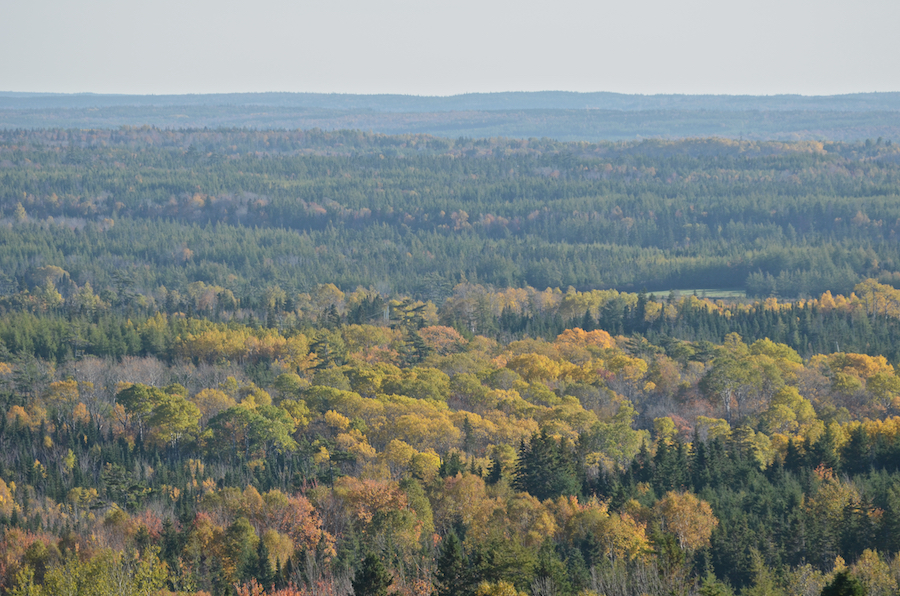 Distant hills and Alpine Ridge above the valley of the Southwest Mabou River
