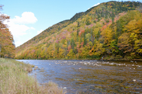 Looking upstream at the Northeast Margaree River from the Big Intervale Fishing Lodge