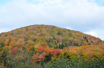 MacLeods Mountain seen from the East Big Intervale Road