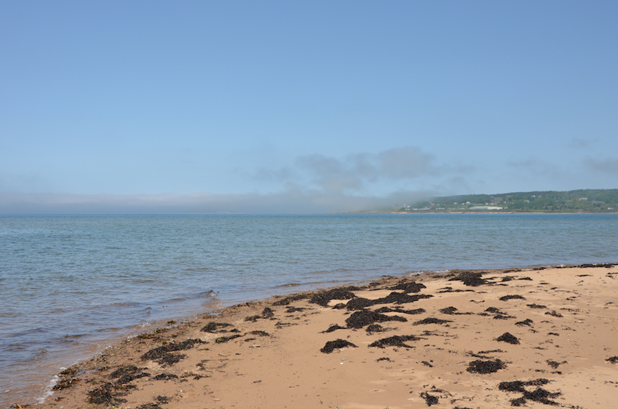 Looking across Port Hood Harbour from Shipping Point at the fog bank coming in off the Gulf of St Lawrence
