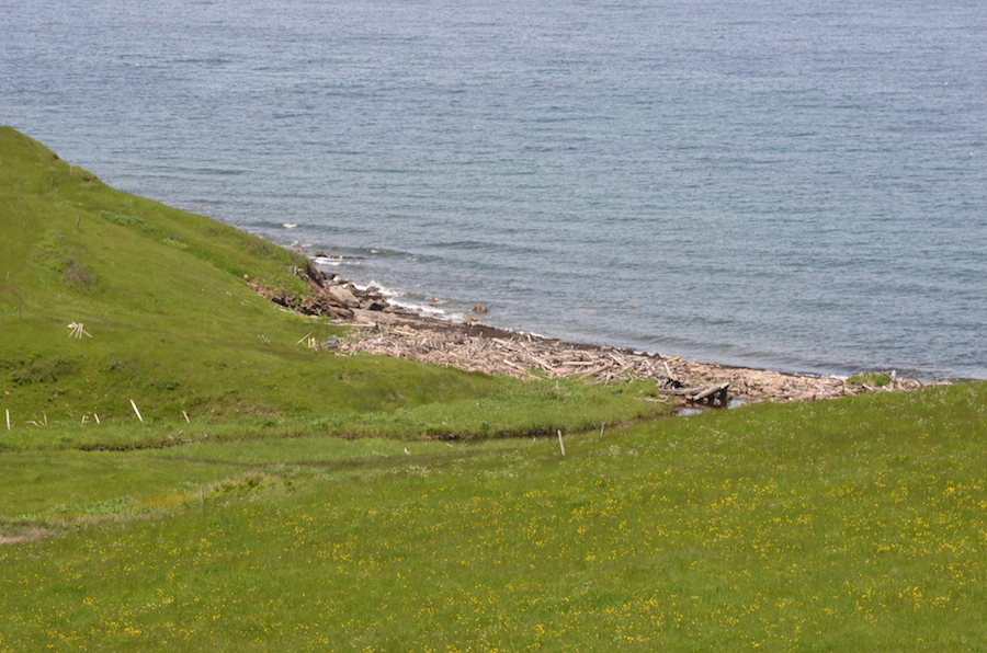 Close-up of MacLeans Cove