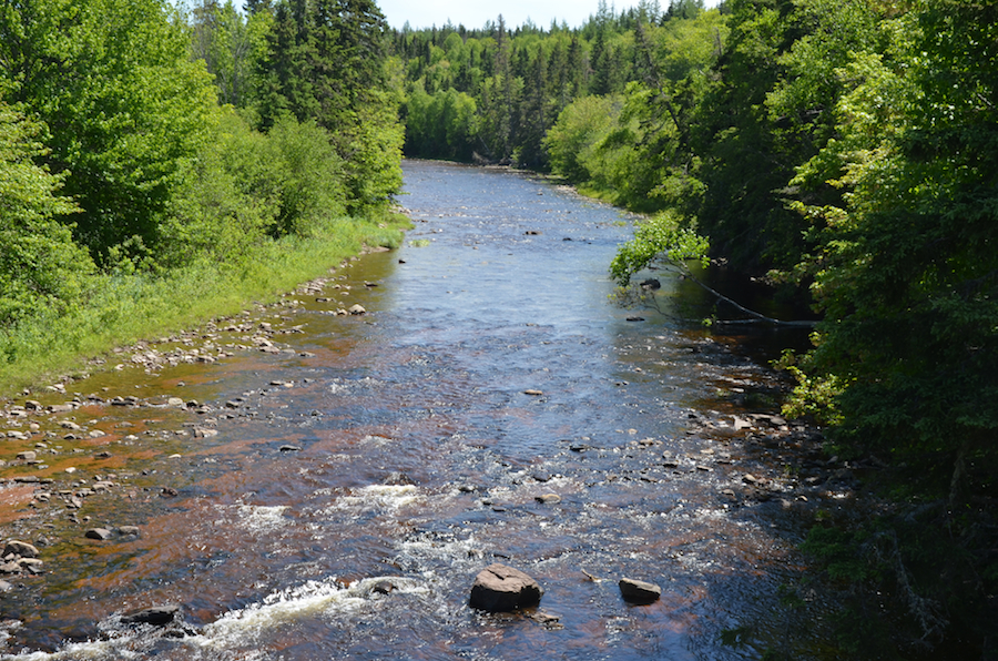 Looking upstream at the Southwest Mabou River from Long Johns Bridge