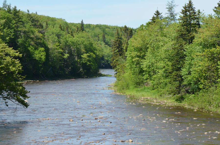 Looking downstream at the Southwest Mabou River from Long Johns Bridge