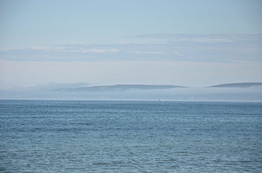The fog-shrouded southern coast of Aspy Bay