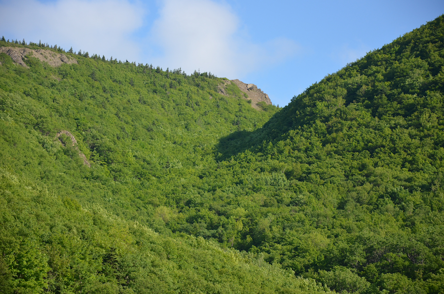 The path of the Meat Cove Mountain Trail to the col