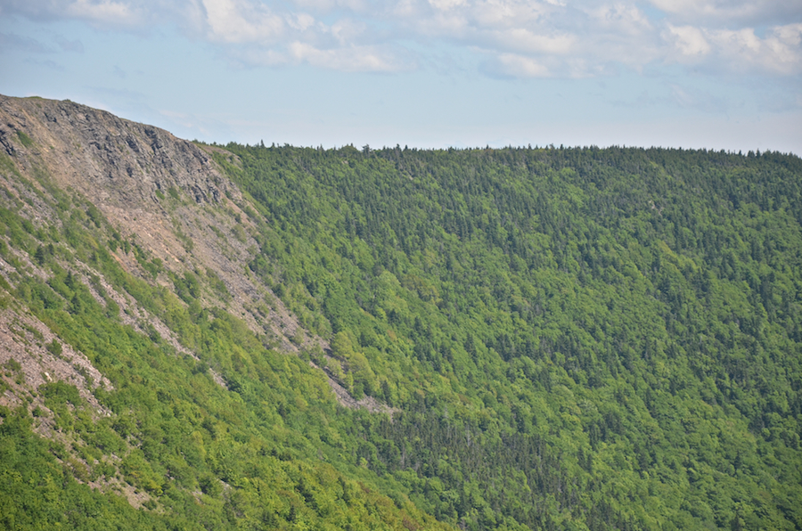 The eastern ridge of the Meat Cove Brook Valley south of the col on Meat Cove Mountain