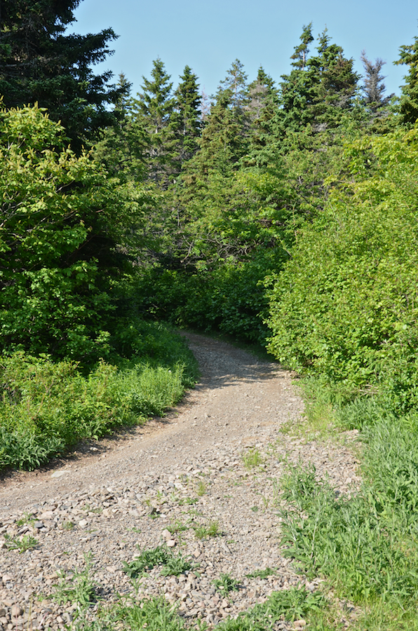 The Lowland Cove Trail at the old Fraser Homestead