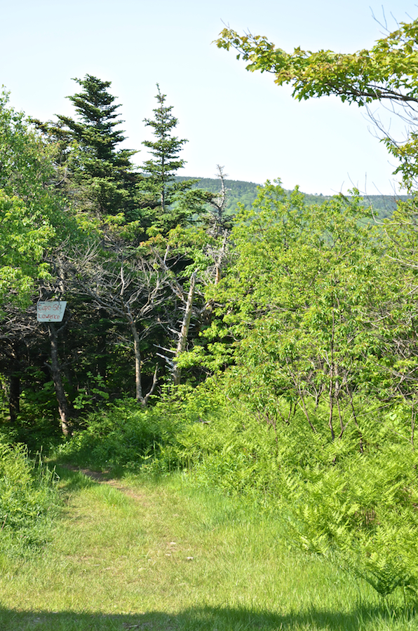 The trail head of the Cape St Lawrence Trail