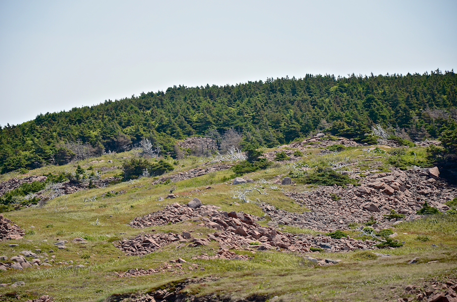 The end of the coastal plain on the hill above Cape St Lawrence