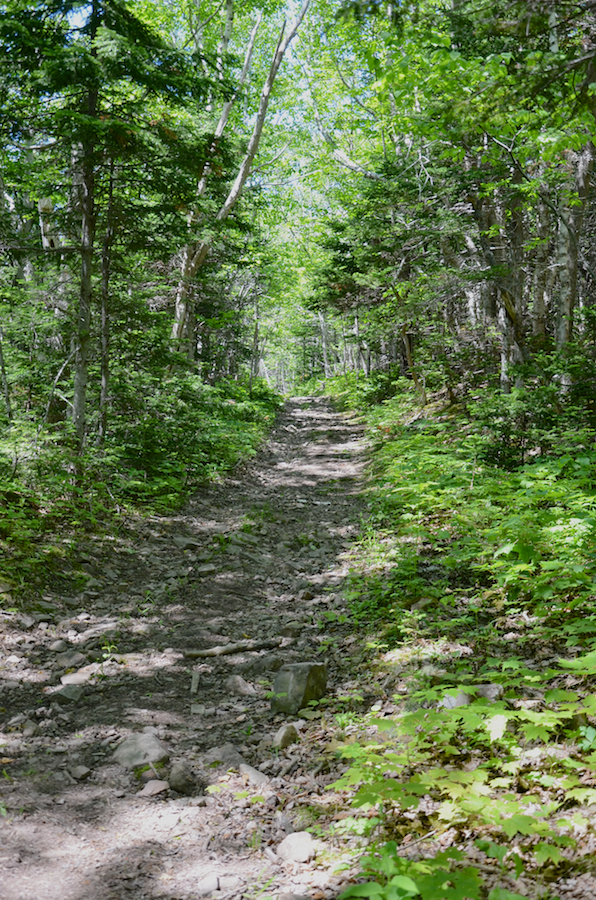 The Cape St Lawrence Trail beyond the escarpment