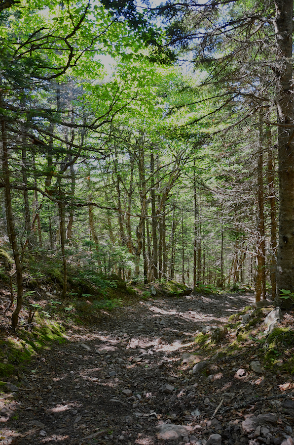 The Cape St Lawrence Trail along the escarpment