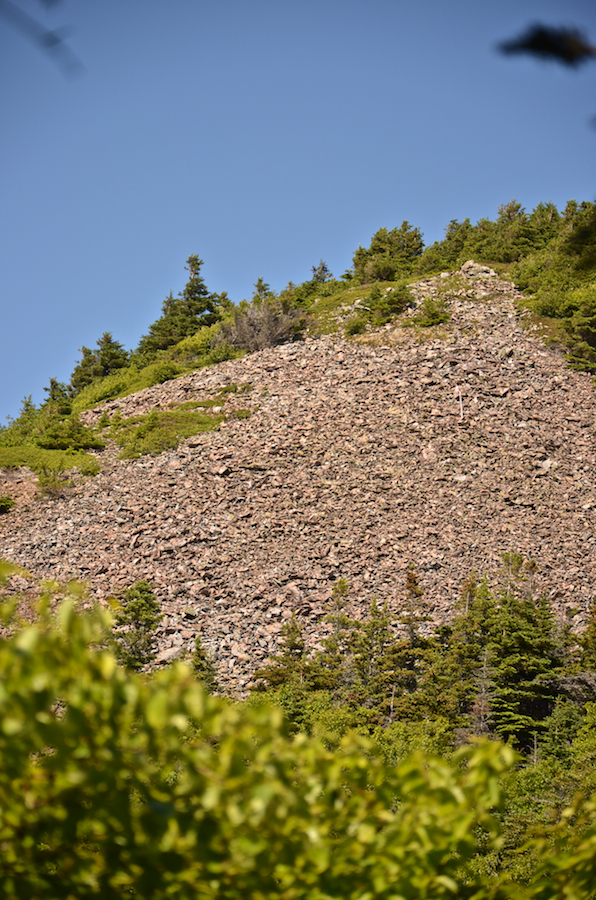The stony slopes of the southwestern end of Bear Hill