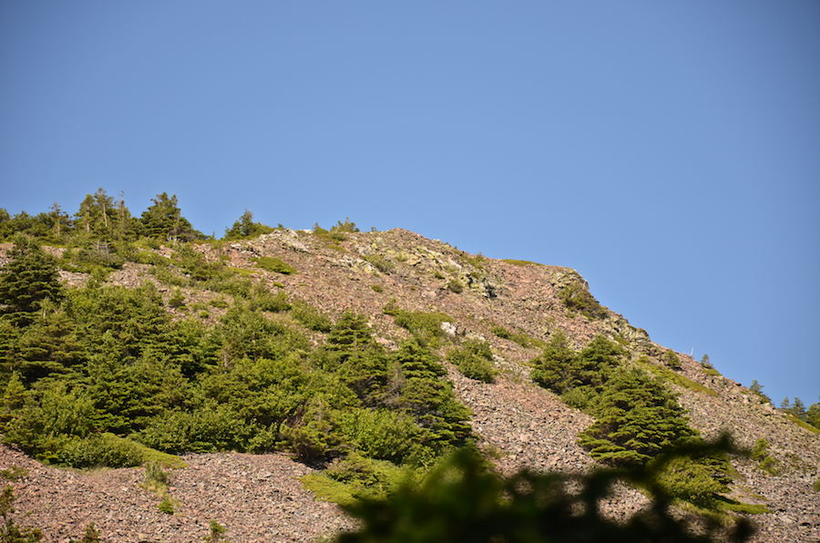The rocky crest on the southwestern end of Bear Hill