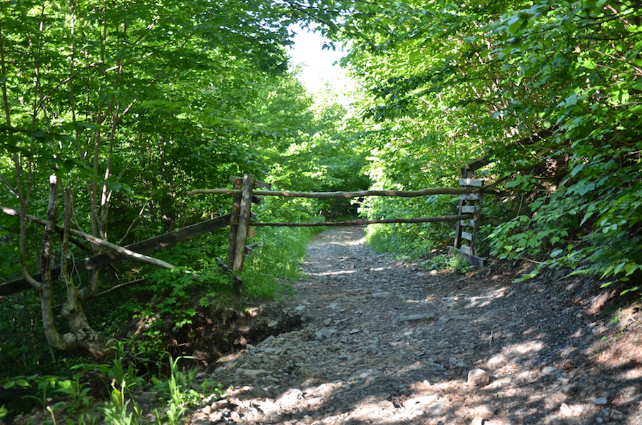The livestock gate on the Lowland Cove Trail