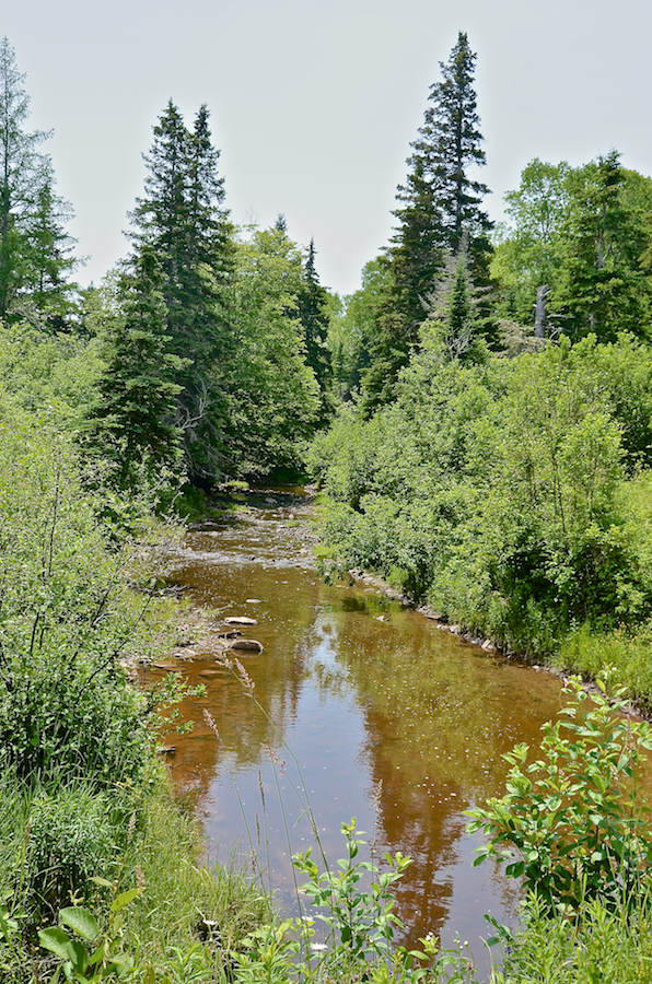 Looking upstream at Captains Brook