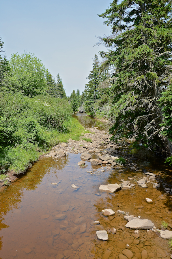 Looking downstream at Captains Brook