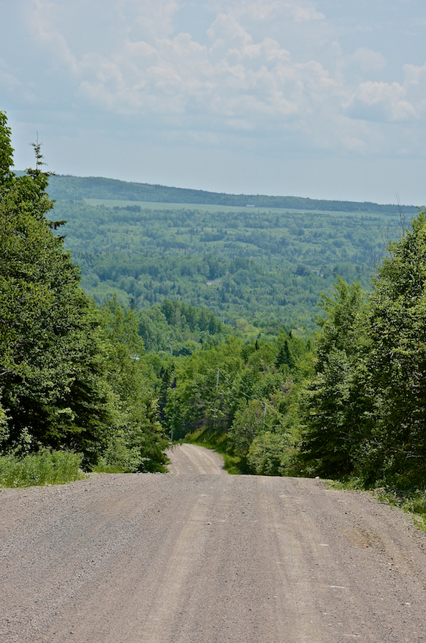 Descending into the Frenchvale Brook Valley