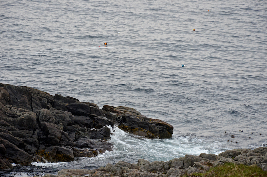 The waters below the Louisbourg Lighthouse Trail