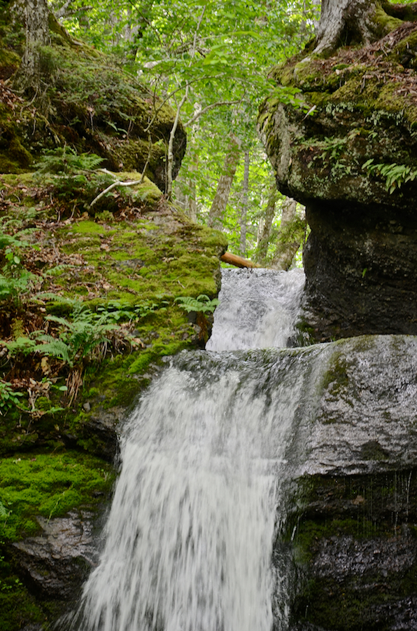 The upper cascade of Myles Doyle Falls