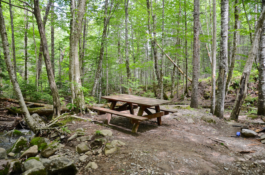 The picnic table in the glen