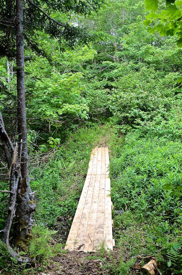 The new footbridge on the MacEachen Trail