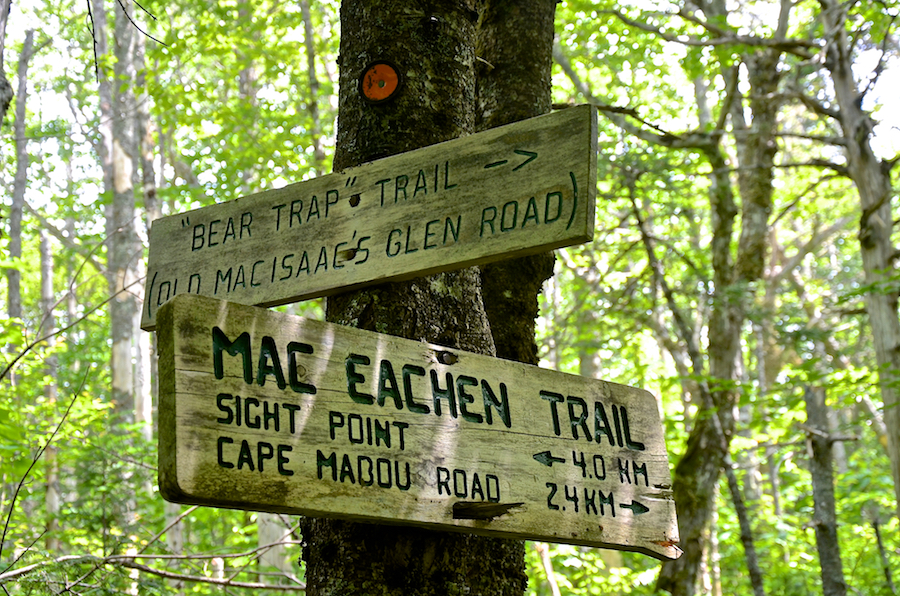 At the junction of the MacEachen and the Trap à Mhathain (Bear Trap) Trails