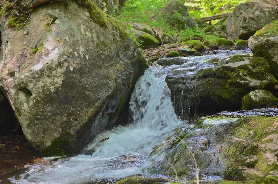 A smaller cascade below Logans Glen Falls