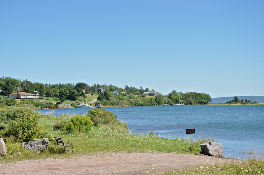 The Head of West Bay Cove