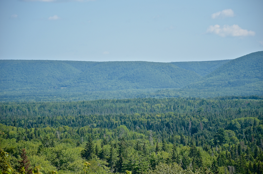 The Cape Breton Highlands from the Indian Brook Road, Part 2 of 5