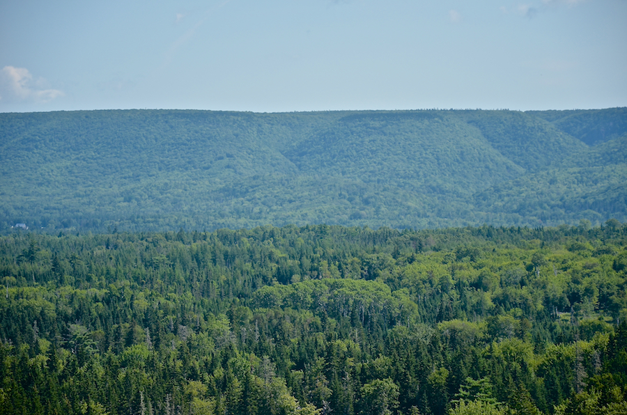 The Cape Breton Highlands from the Indian Brook Road, Part 4 of 5