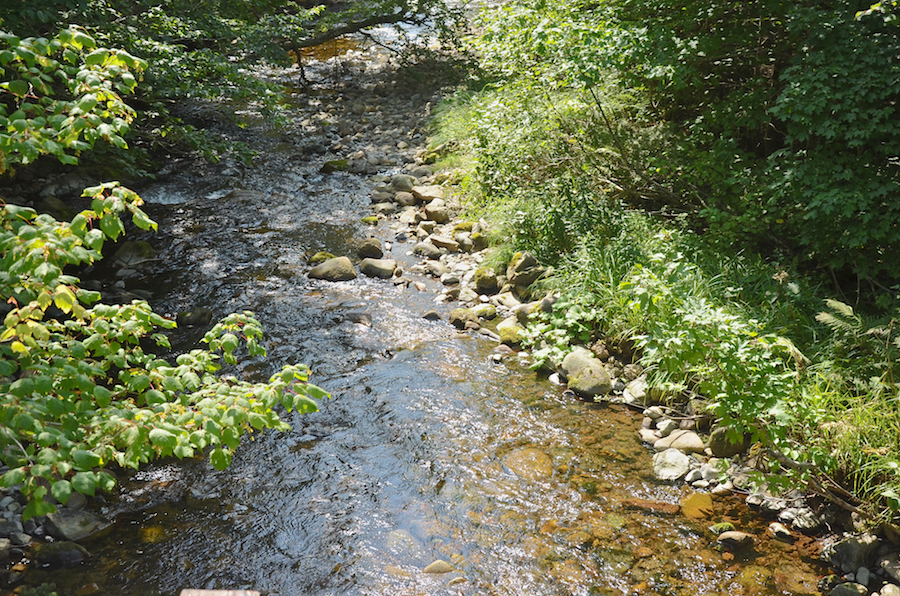 Looking upstream at MacKenzie Brook from the bridge on the Gairloch Mountain Road