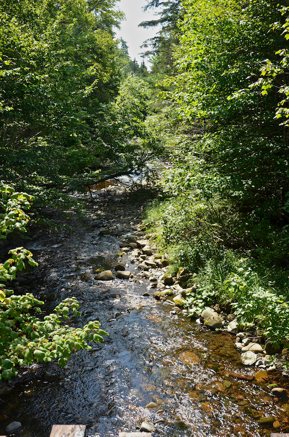 Looking downstream at MacKenzie Brook from the bridge on Gairloch Mountain Road