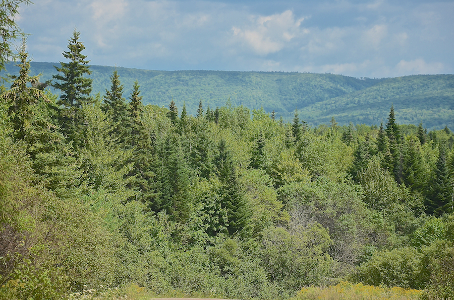 Looking across the Middle River Valley at the Cape Breton Highlands on the far side: Part 1 of 2